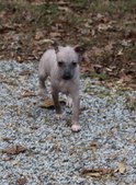 Enlarge photo 16