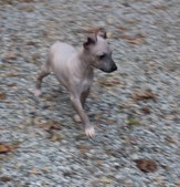 Enlarge photo 15