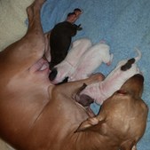 Enlarge photo 15