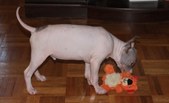 Enlarge photo 122