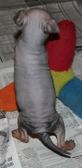 Enlarge photo 78