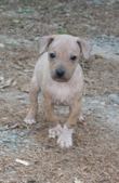 Enlarge photo 92