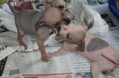 Enlarge photo 123