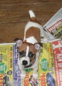 Kendall and Rummy babies