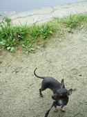 Kiah