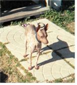 Enlarge photo 3