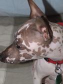 Enlarge photo 8