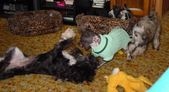 Enlarge photo 15