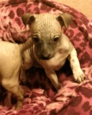 Mia and Jimmy Babies
