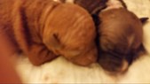 Enlarge photo 18