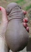 Enlarge photo 75