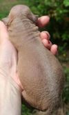 Enlarge photo 77