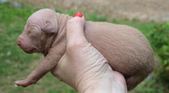 Enlarge photo 78