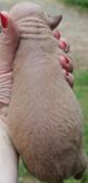 Enlarge photo 80