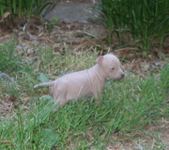 Enlarge photo 9