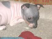 Enlarge photo 10
