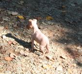 Enlarge photo 5