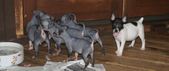 Enlarge photo 2