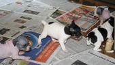 Enlarge photo 19