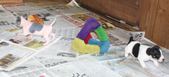 Enlarge photo 13