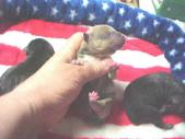 Enlarge photo 21