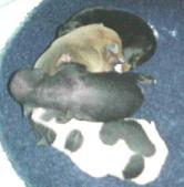 Enlarge photo 23