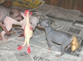 Enlarge photo 8