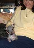Enlarge photo 5