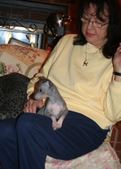 Enlarge photo 7