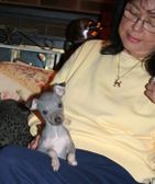 Enlarge photo 6