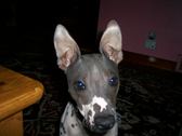 Riley
