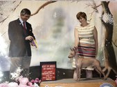 Enlarge photo 43