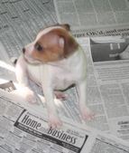 Enlarge photo 7