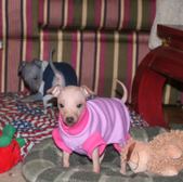 Enlarge photo 11