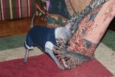 Enlarge photo 6