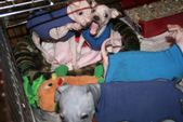 Enlarge photo 18
