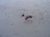 Ryder