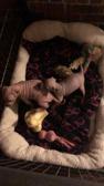 Enlarge MOV 17