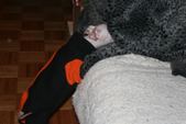 Enlarge photo 22