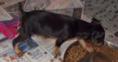 Enlarge photo 4