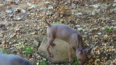 Enlarge photo 22