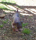 Enlarge photo 15