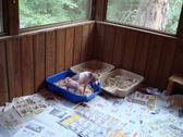 Enlarge photo 3