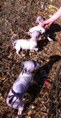 Enlarge photo 14