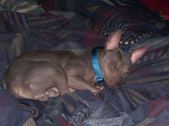 Enlarge photo 16