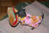 Enlarge photo 24