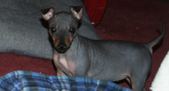 Enlarge photo 14