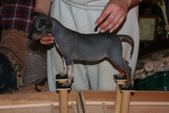 Enlarge photo 21
