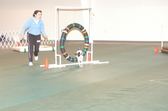 Enlarge photo 6