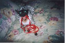 Enlarge photo 10